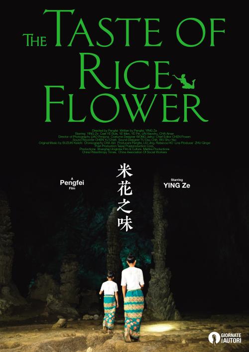 办假的新加坡